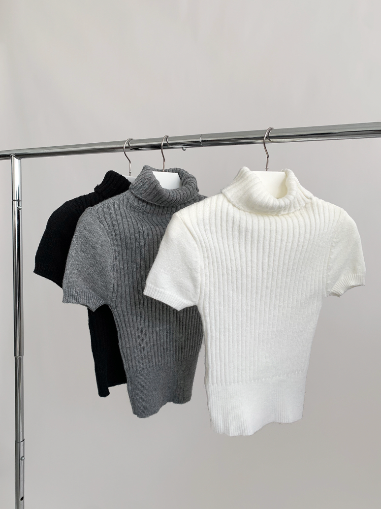 Chunky Ribbed Turtleneck Short Sleeves (3c.)