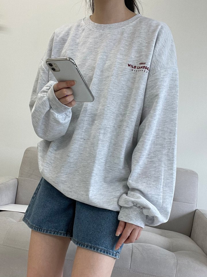 "Wild Landscape" Graphic Oversized Crew Neck Jumper (2c.)